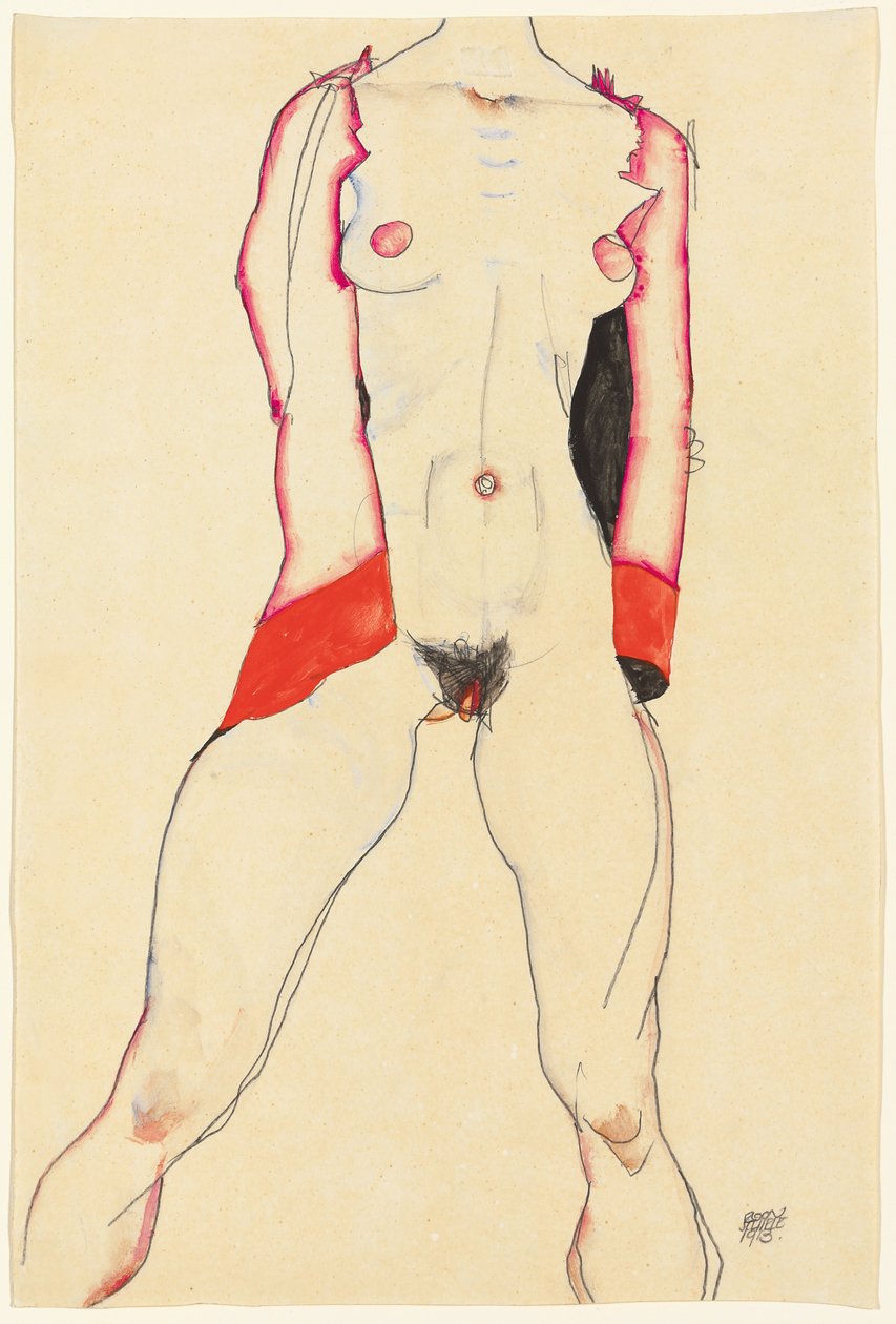 Weiblicher Torso von Egon Schiele
