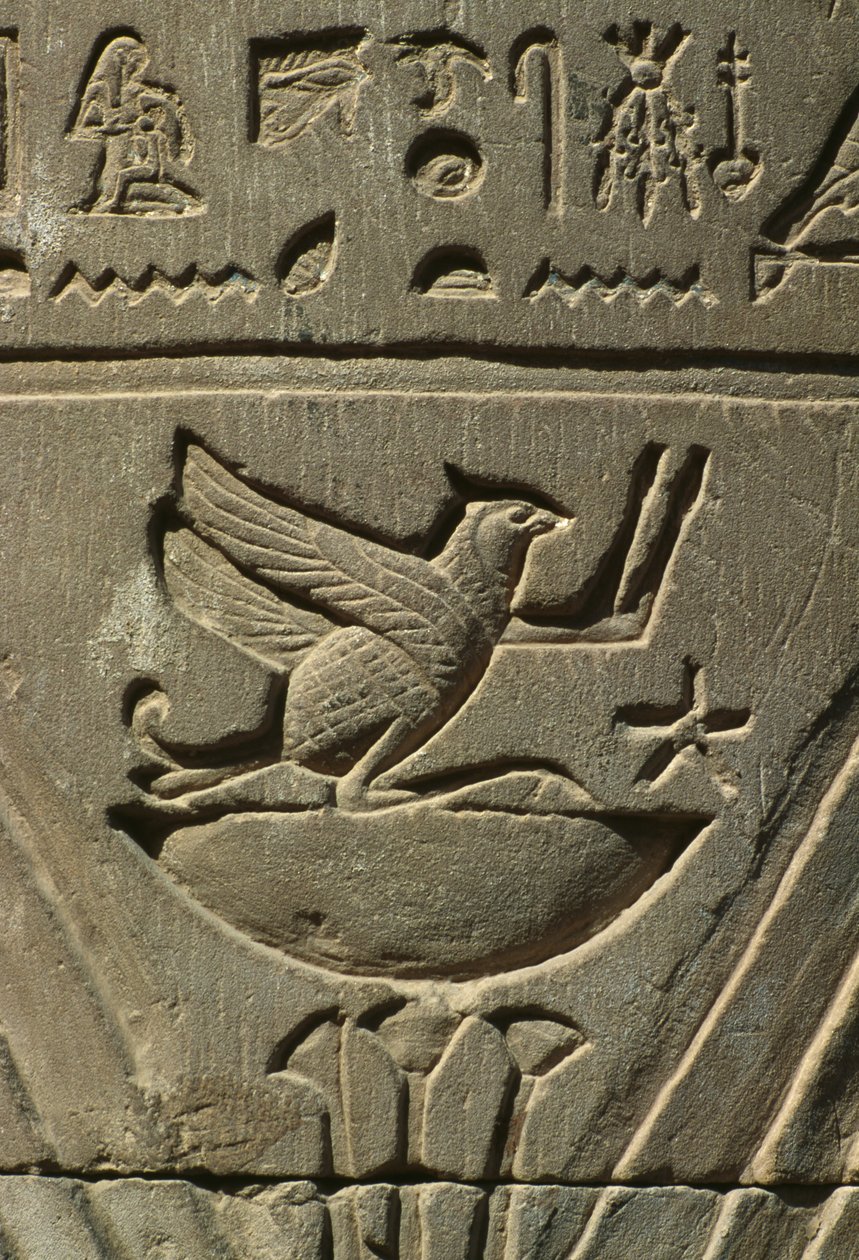 Detail eines Reliefs, Hieroglyphen von Egyptian