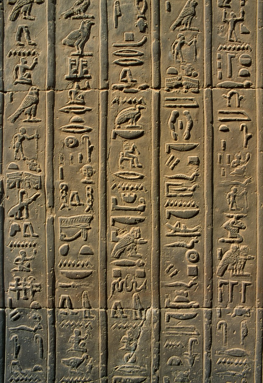 Detail eines Reliefs, Hieroglyphen von Egyptian