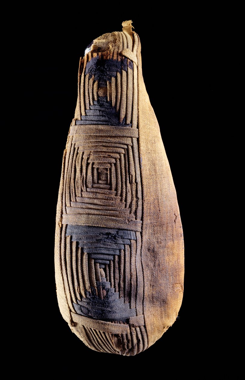 Mumie eines Ibis, aus Abydos, Ägypten von Egyptian