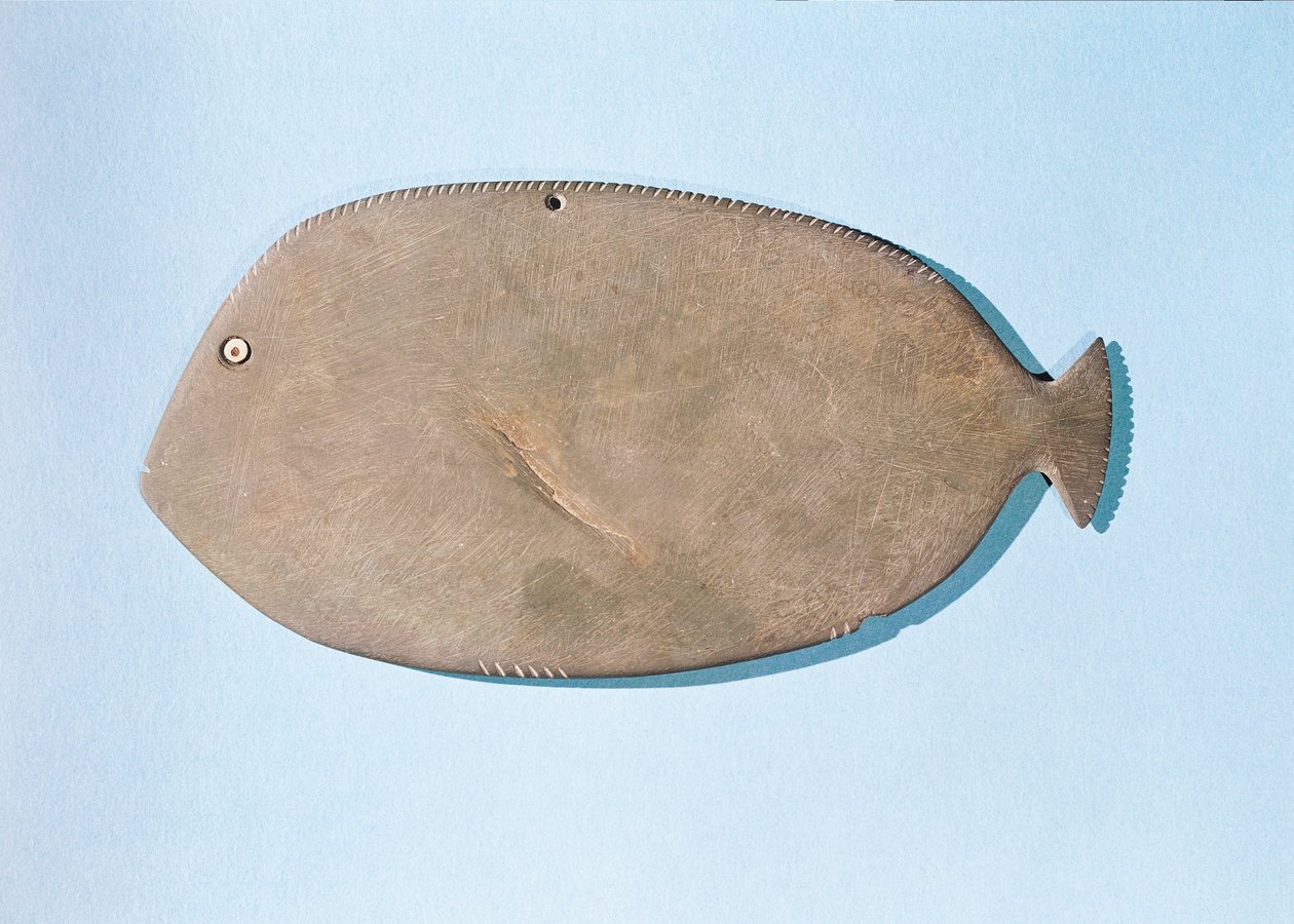 Palette in Form eines Fisches, vordynastische Periode (5000-3100 v. Chr.) von Egyptian