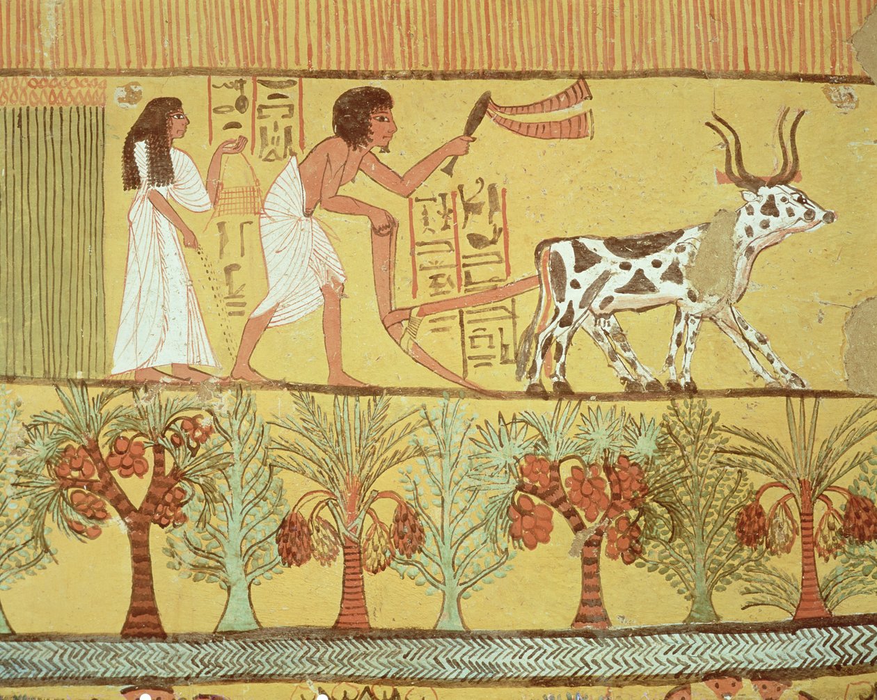 Sennedjem und seine Frau beim Säen und Pflügen, aus dem Grab von Sennedjem, Das Arbeiterdorf, Neues Reich von Egyptian 19th Dynasty