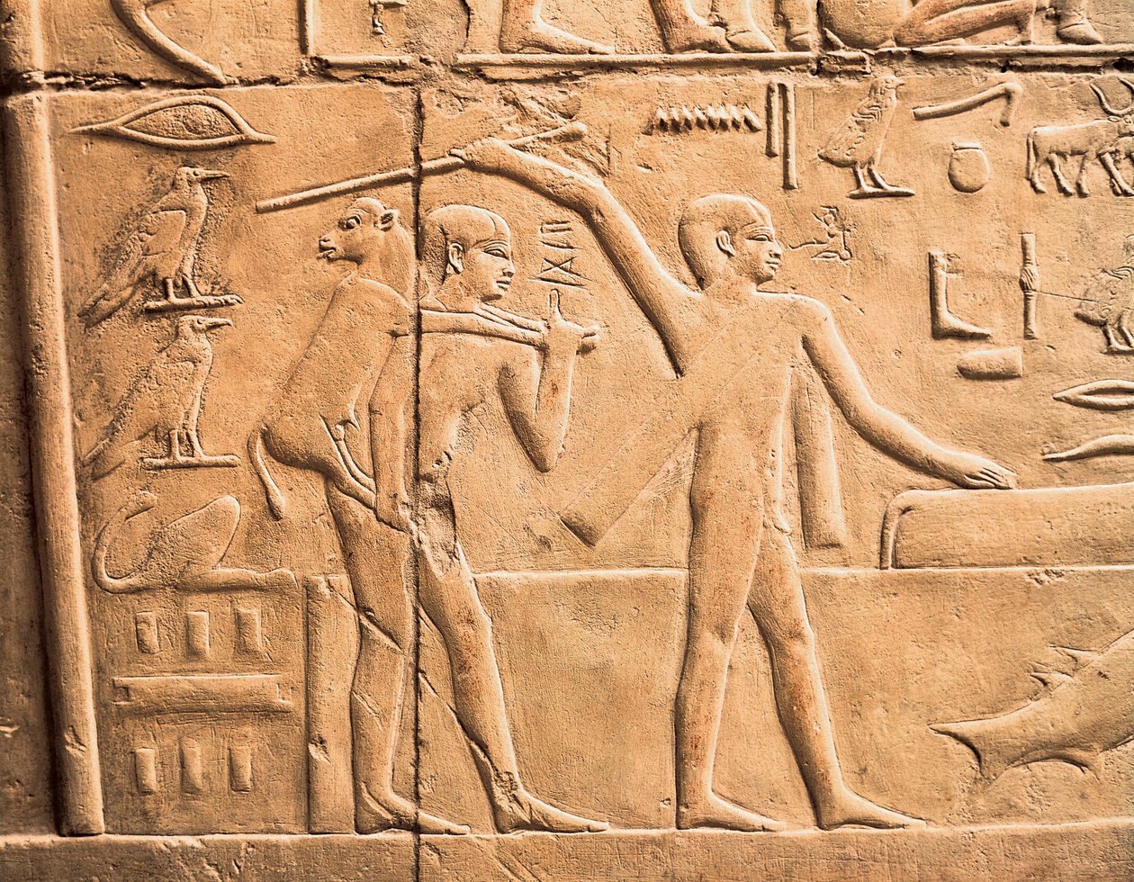 Szenen der Feldarbeit, (Detail) von Egyptian 4th Dynasty