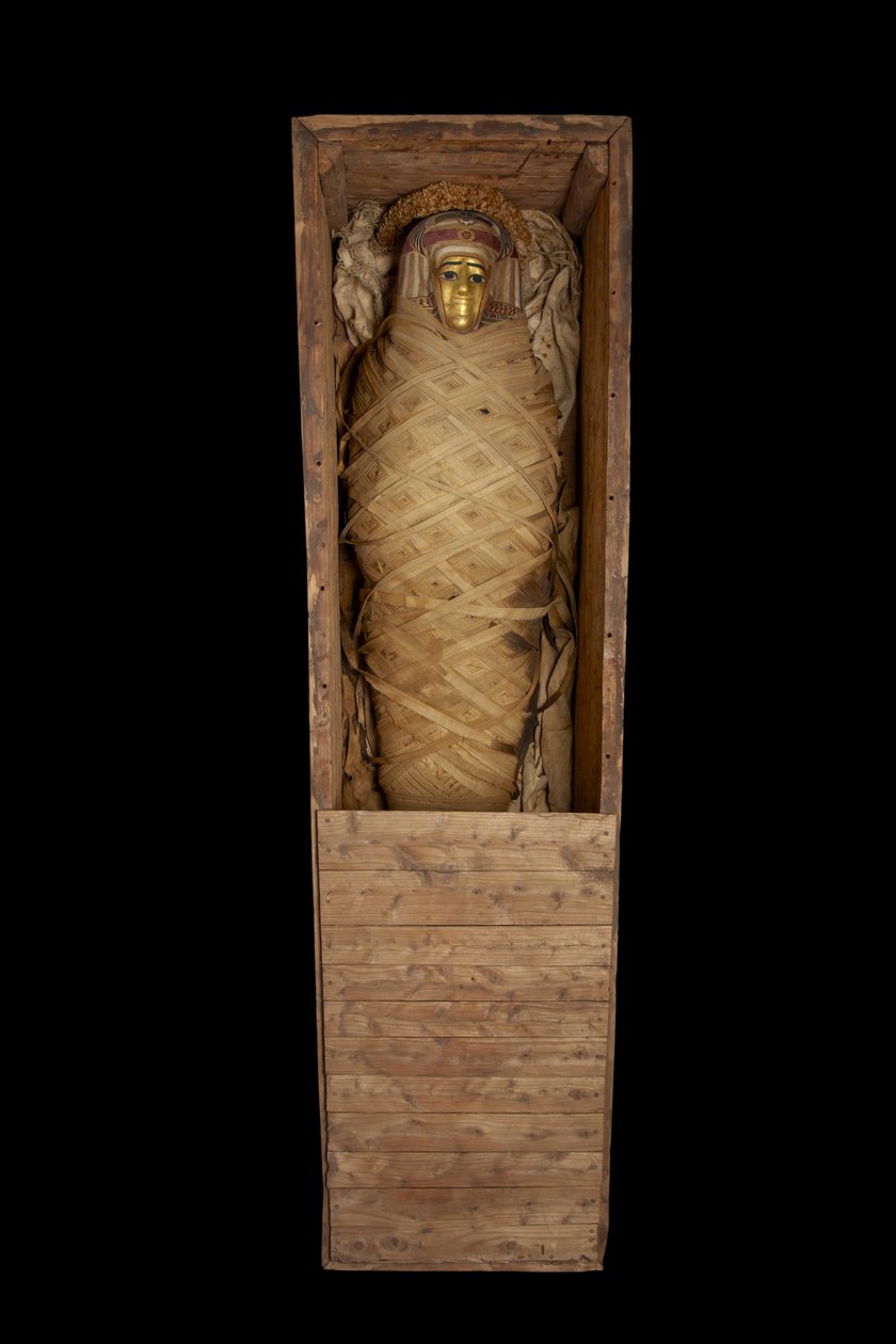 Mumie im Sarg, aus Hawara von Egyptian Ptolemaic Period
