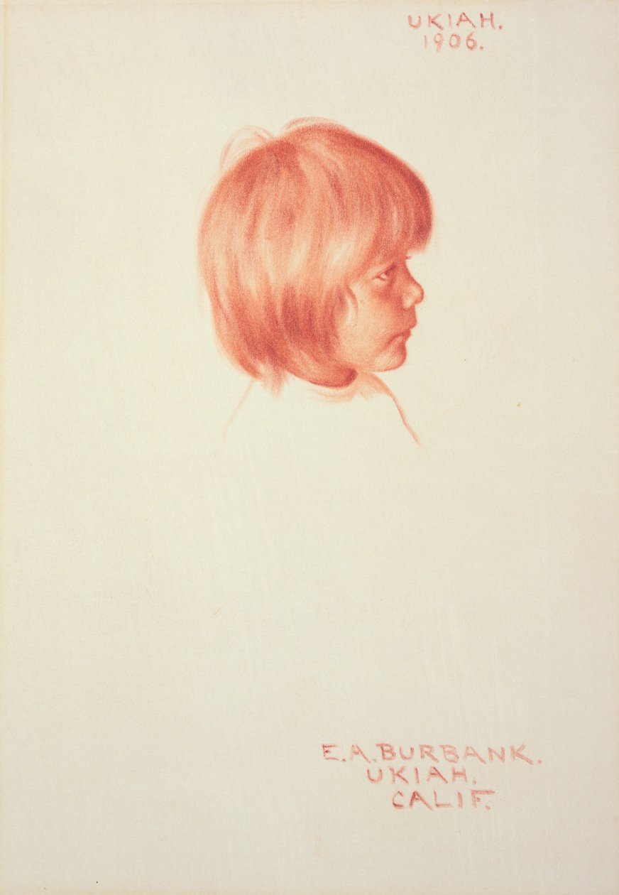 Ukiah von Elbridge Ayer Burbank
