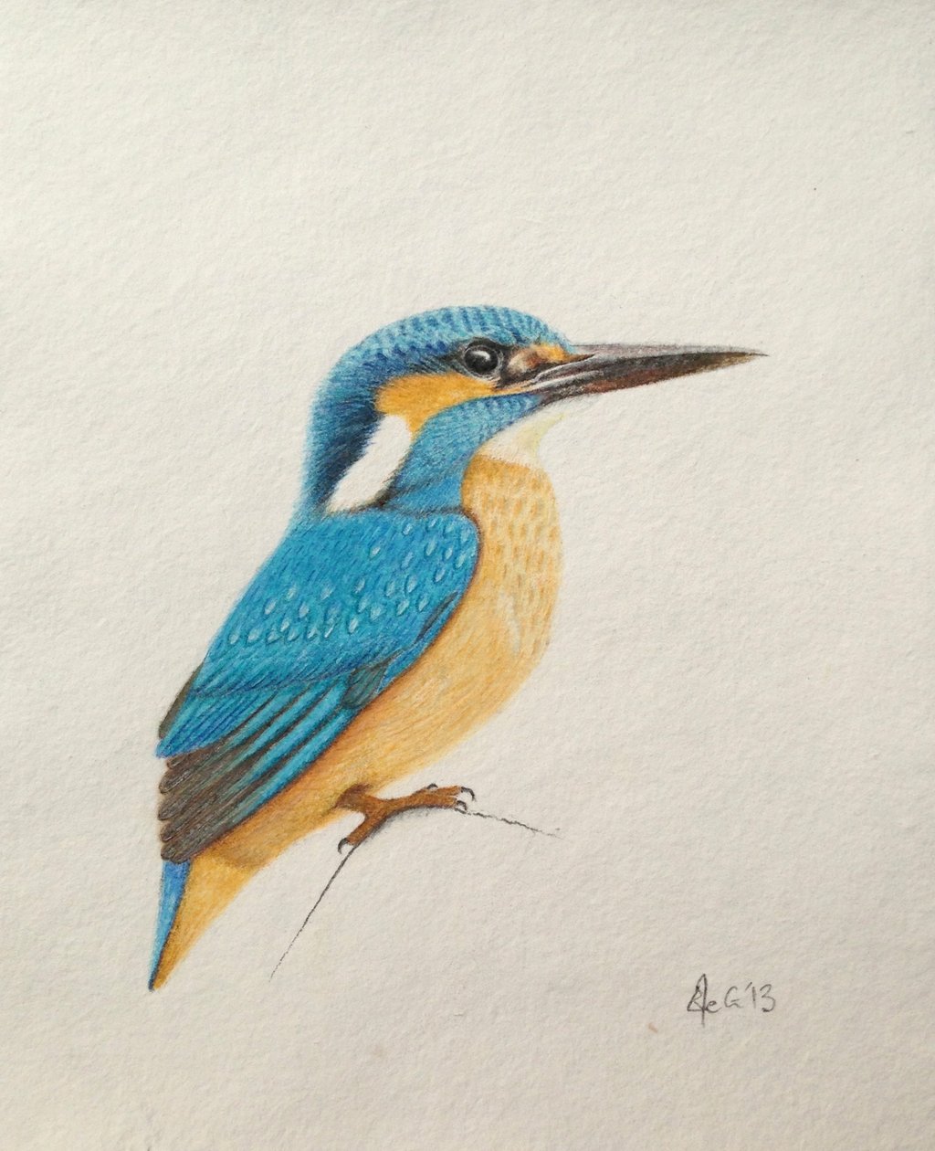 Eisvogel, 2013 von Eleanor Grafton