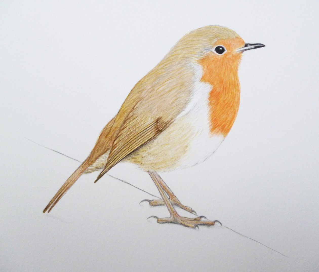 Robin, 2011 von Eleanor Grafton