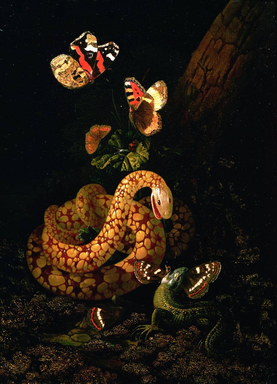 Stillleben mit Schlange von Elias van den Broeck