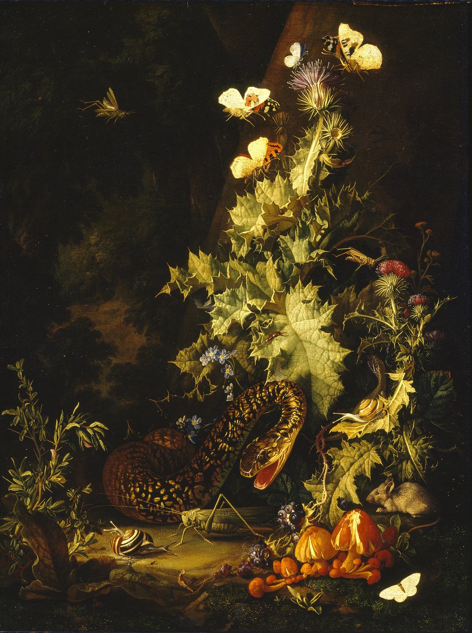 Stillleben mit einer Schlange von Elias van den Broeck
