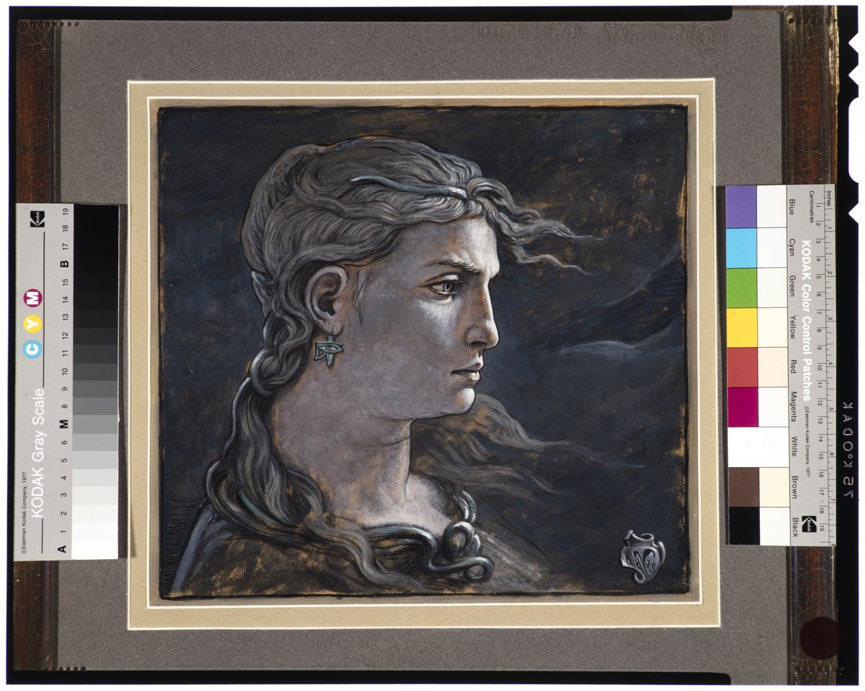 Kopf der Medusa, 1878 von Elihu Vedder
