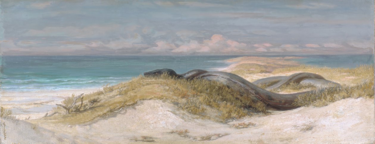 Höhle der Seeschlange von Elihu Vedder
