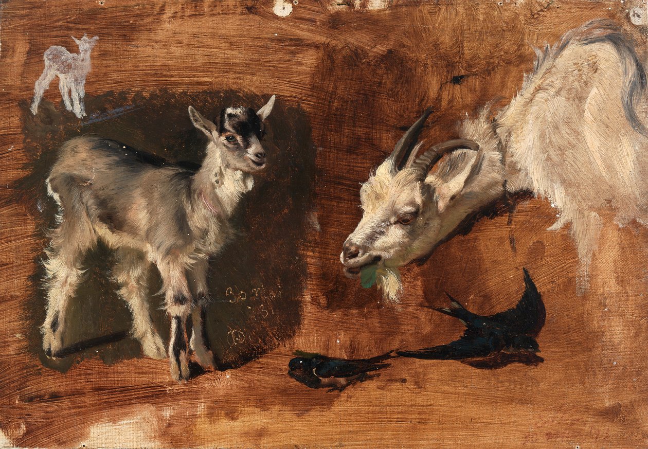 Ziegen von Eliphalet Frazer Andrews
