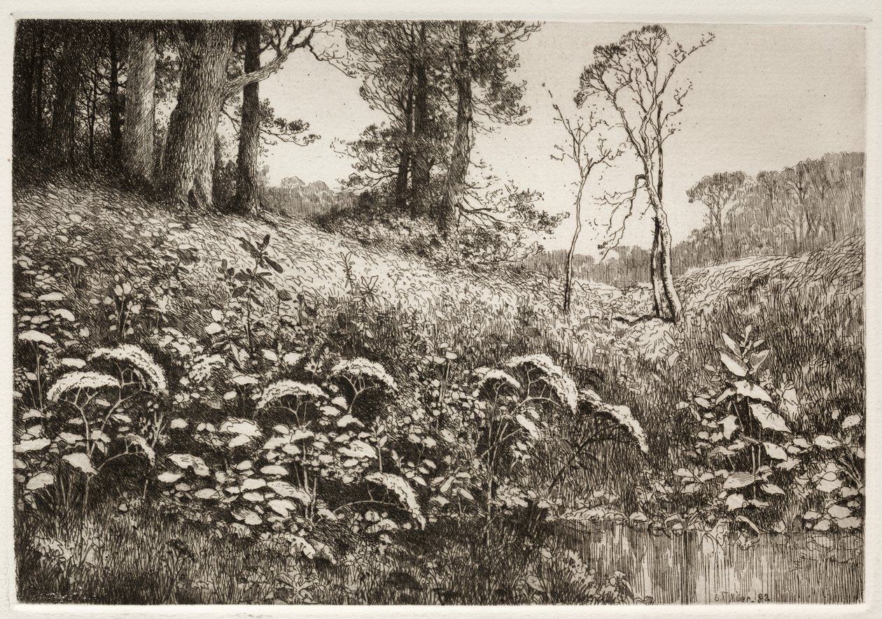 Ein Sommernachmittag von Elis F. Miller