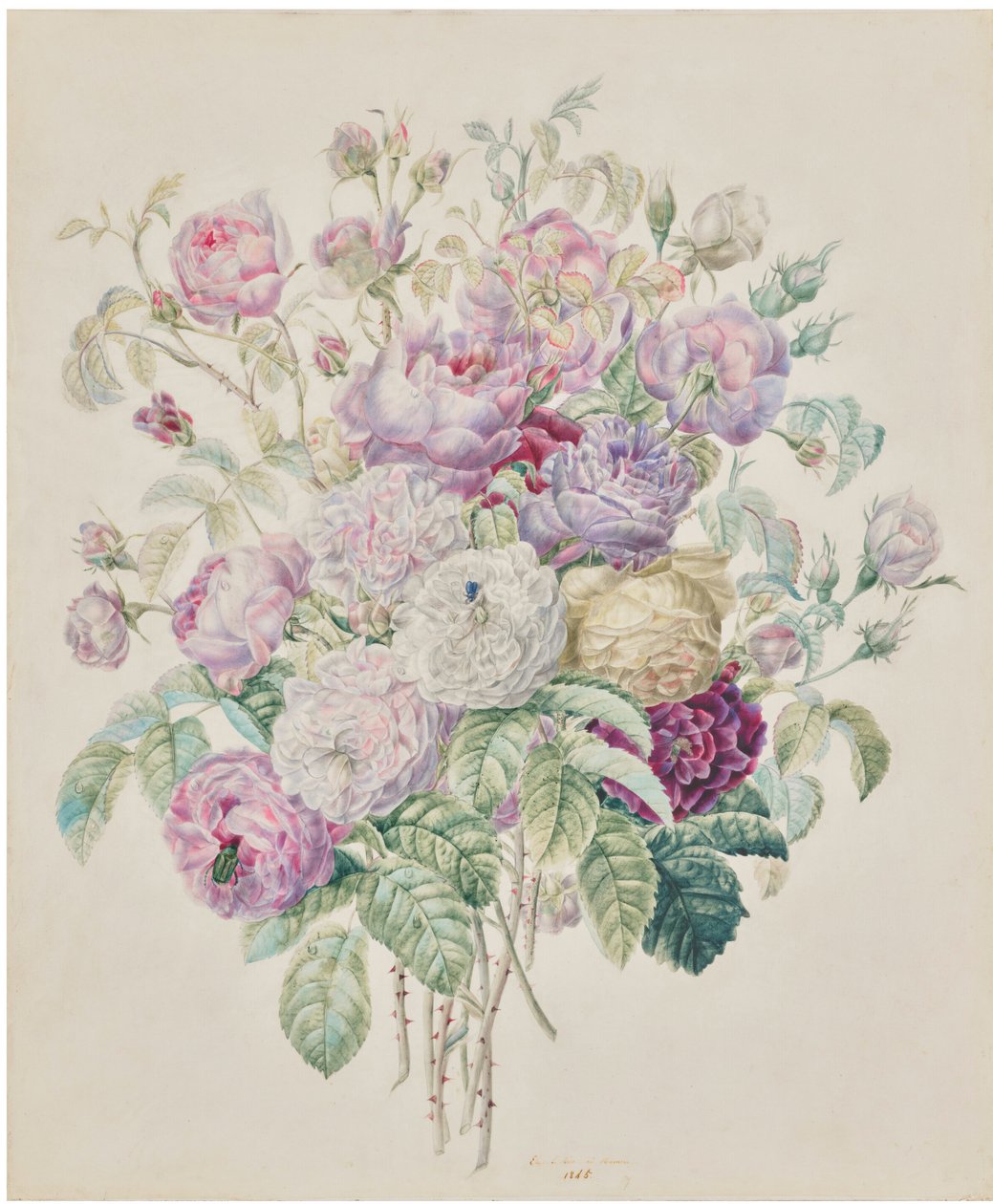 Ein Strauß Bourbon-Rosen von Elisa Emilie Lemire