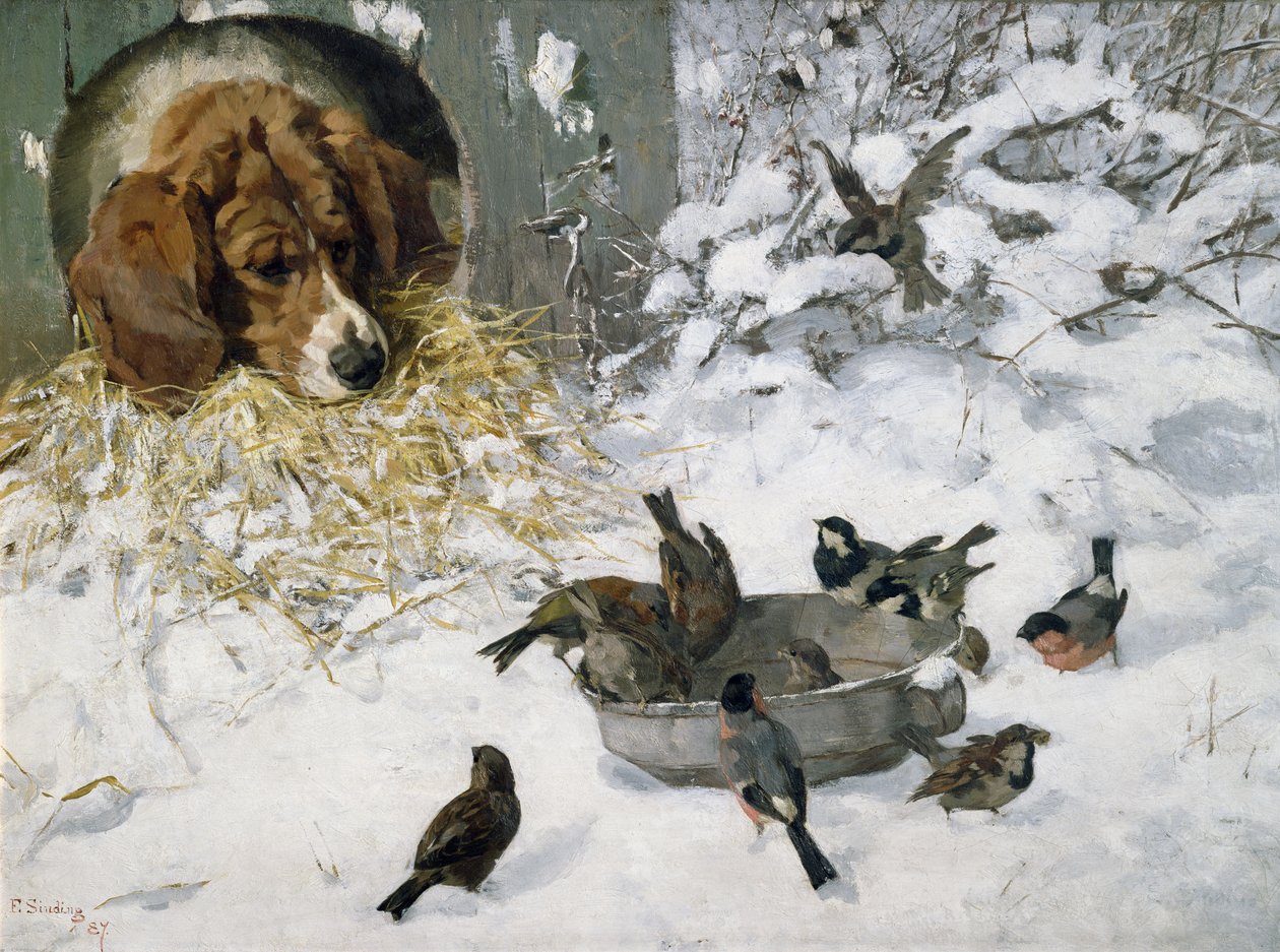 Wintergäste von Elisabeth Sinding