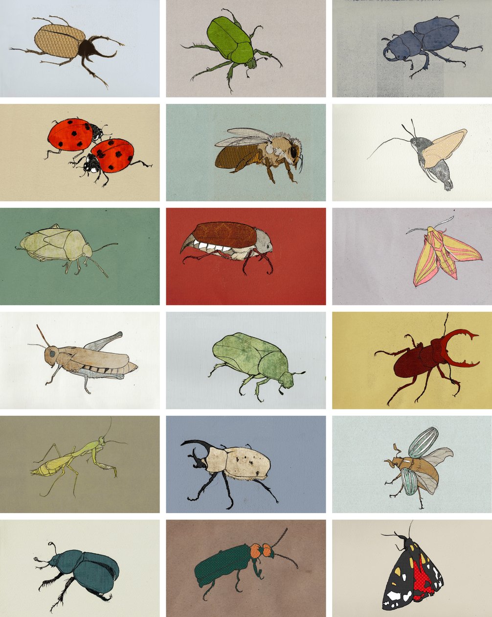 Insekten von Eliza Southwood