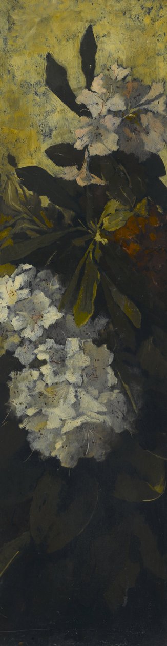 Rhododendren von Elizabeth Boott Duveneck