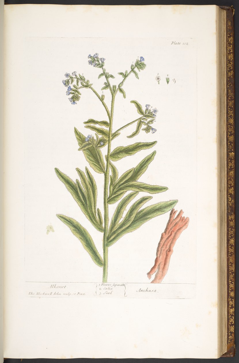 Tafel 112, aus 