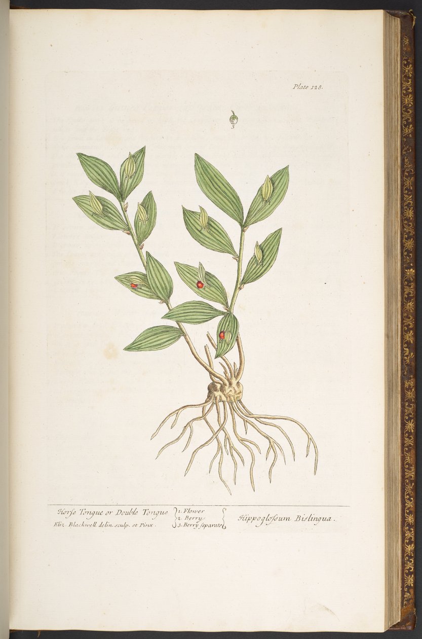 Tafel 128, aus 