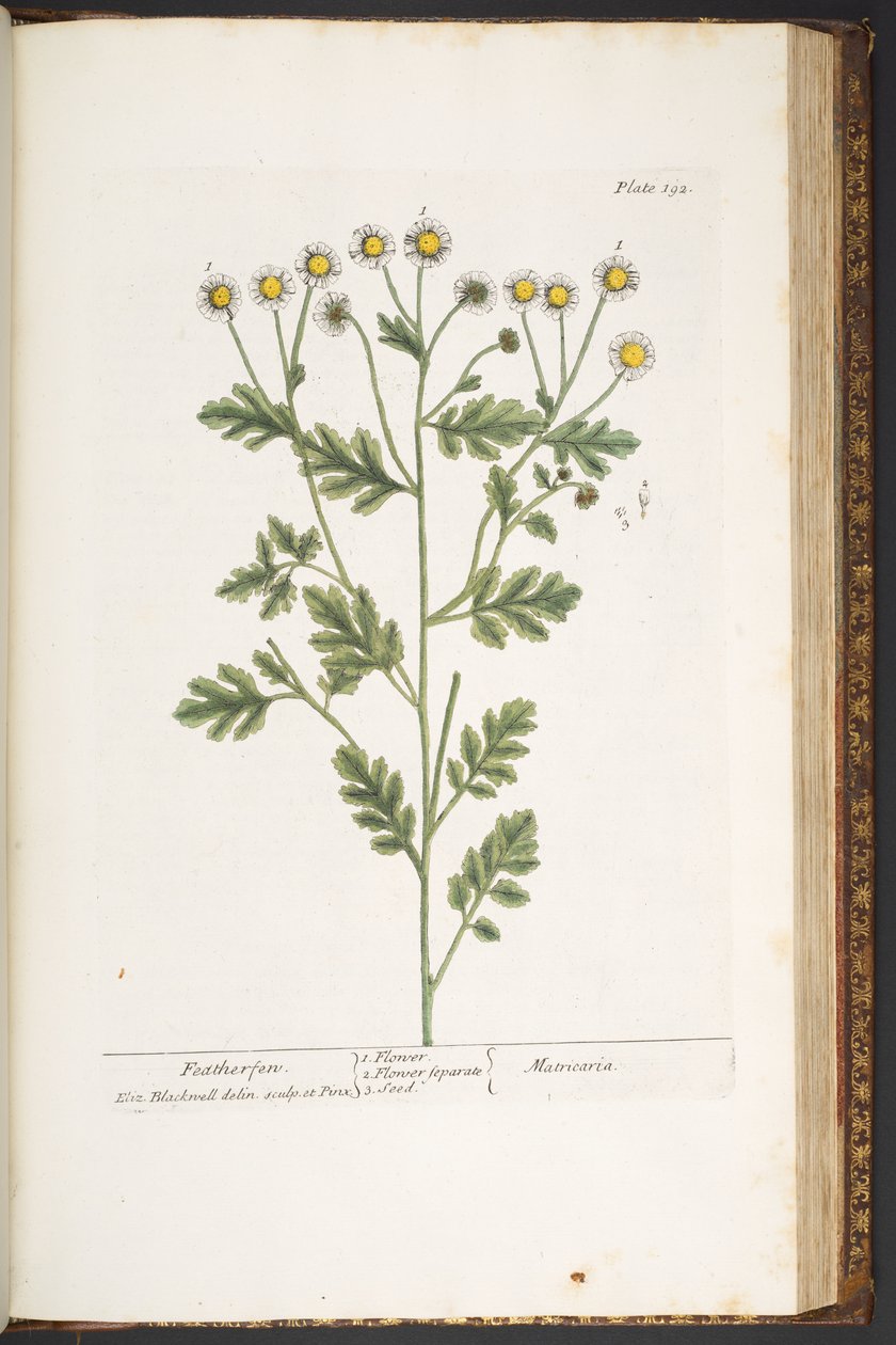 Tafel 192, aus 