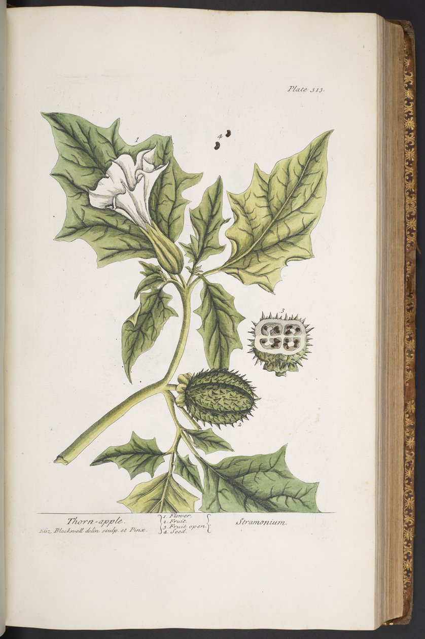 Tafel 313, aus 