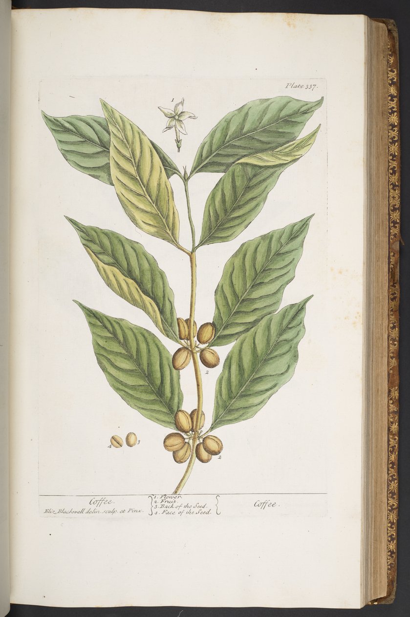 Tafel 337, aus 
