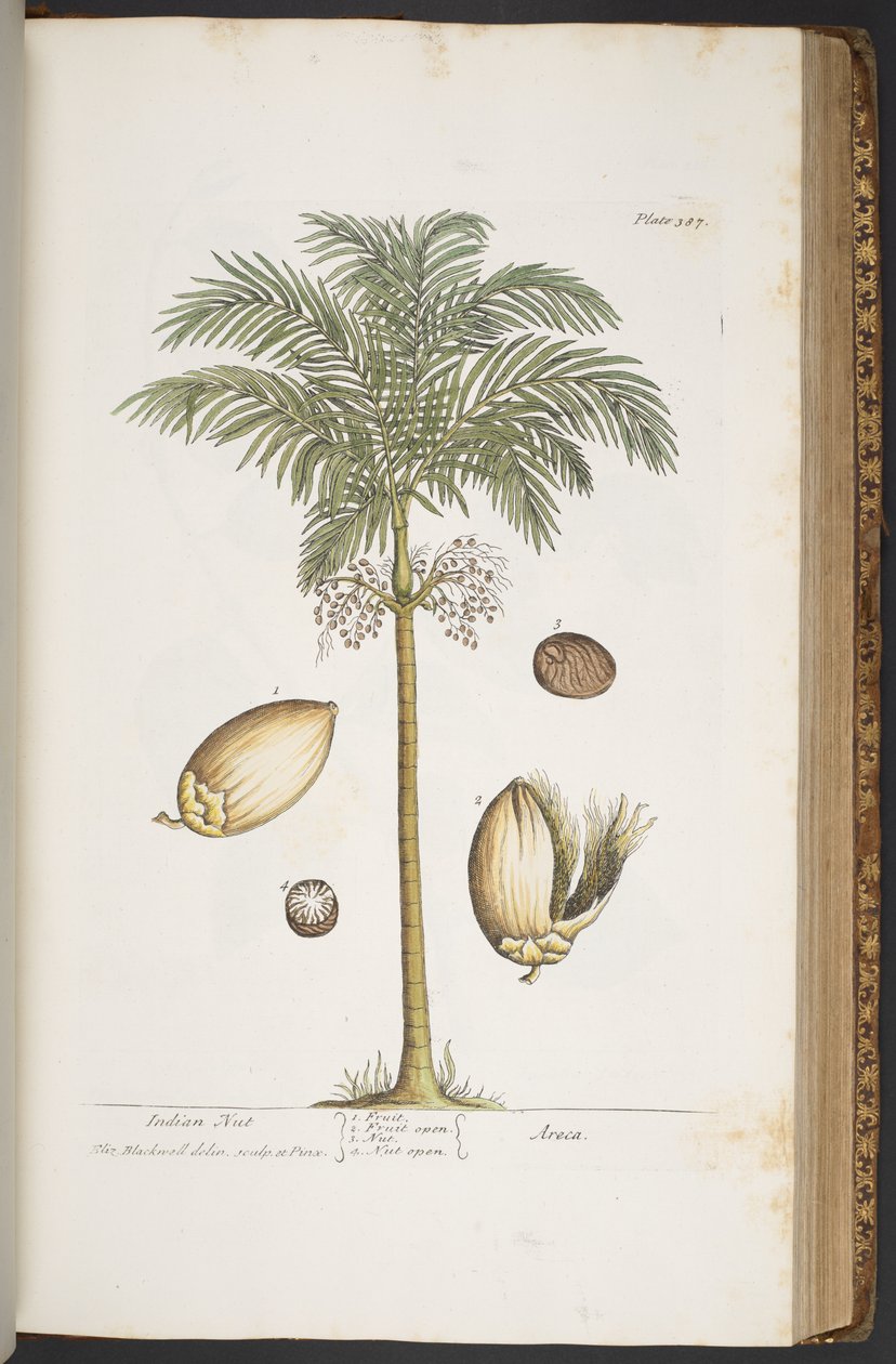 Tafel 387, aus 