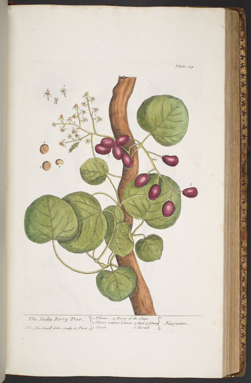Tafel 389, aus 