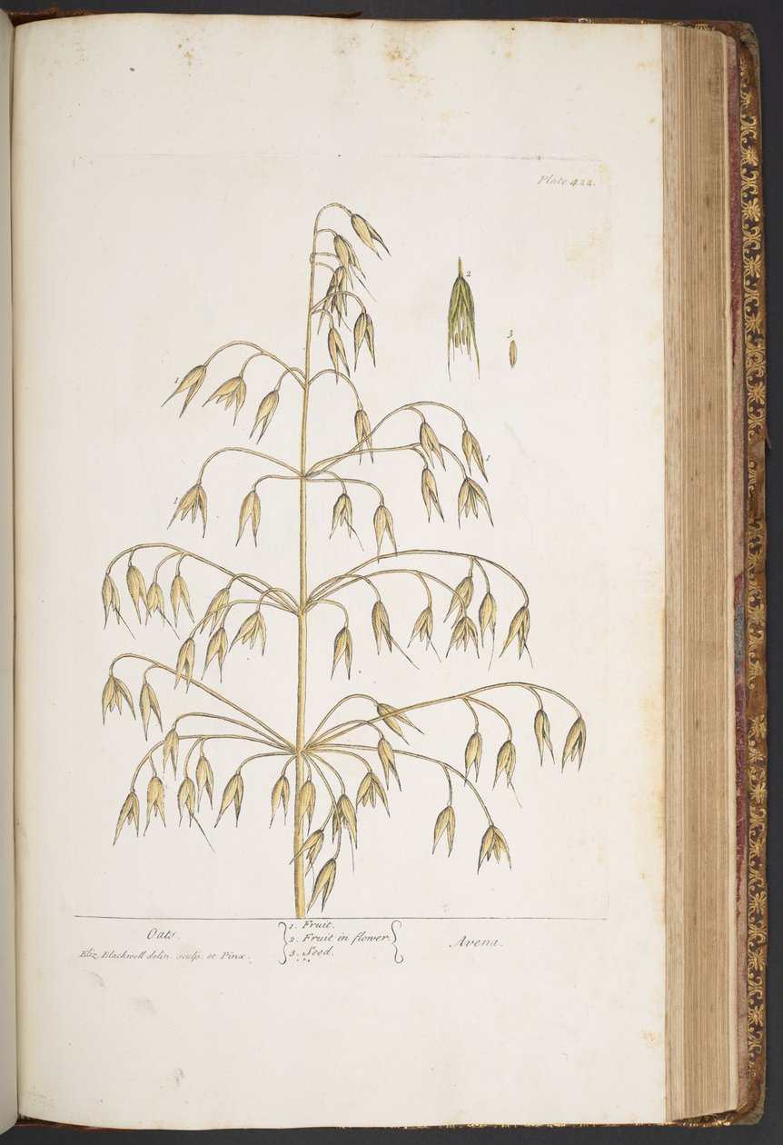 Tafel 422, aus 
