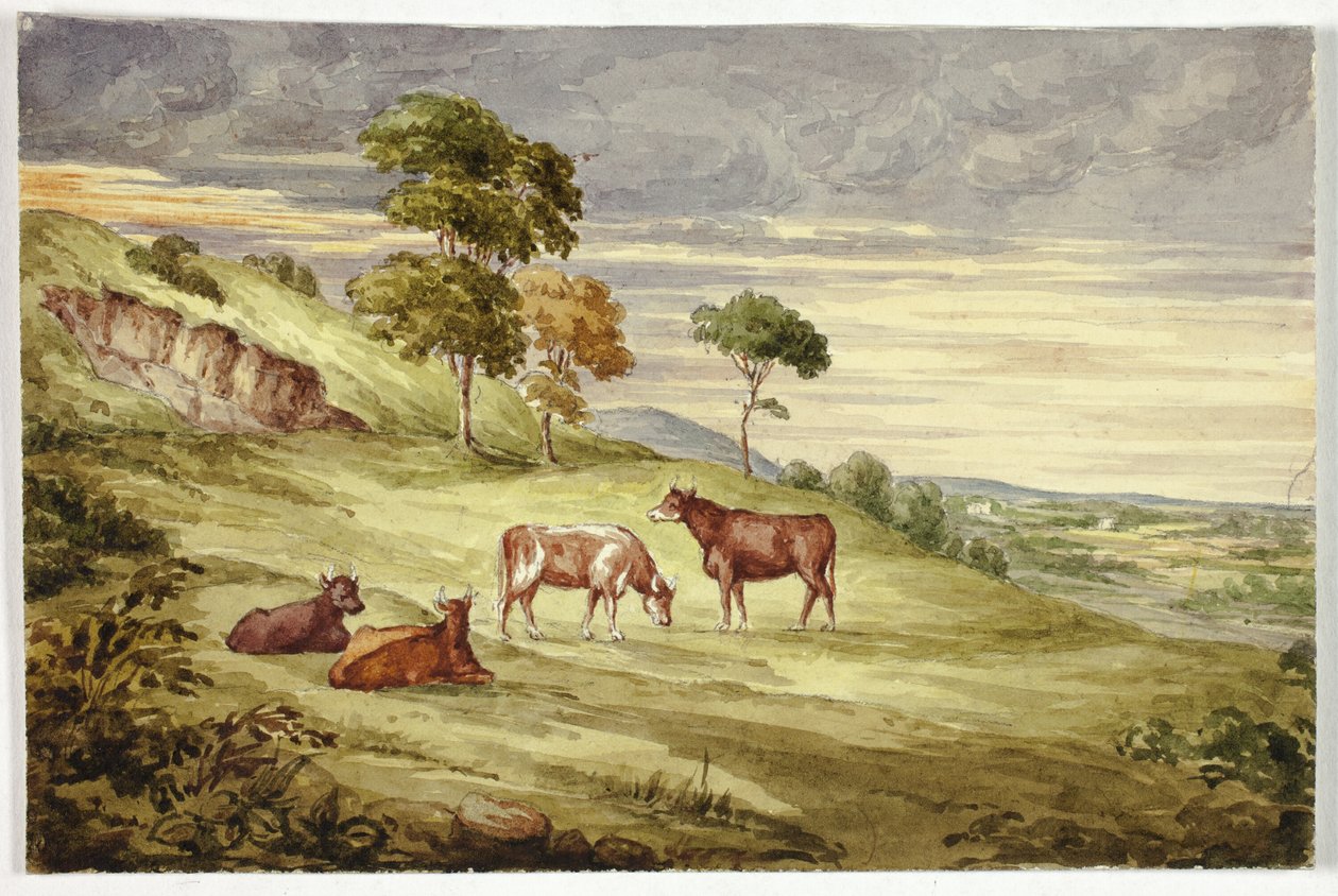 Deer Park, möglicherweise Kilkenny von Elizabeth Murray