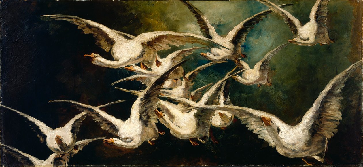Gänseschwarm von Elizabeth Nourse