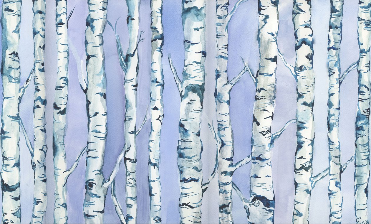 Silberbirkenwald, 2018 von Elizabeth Rider