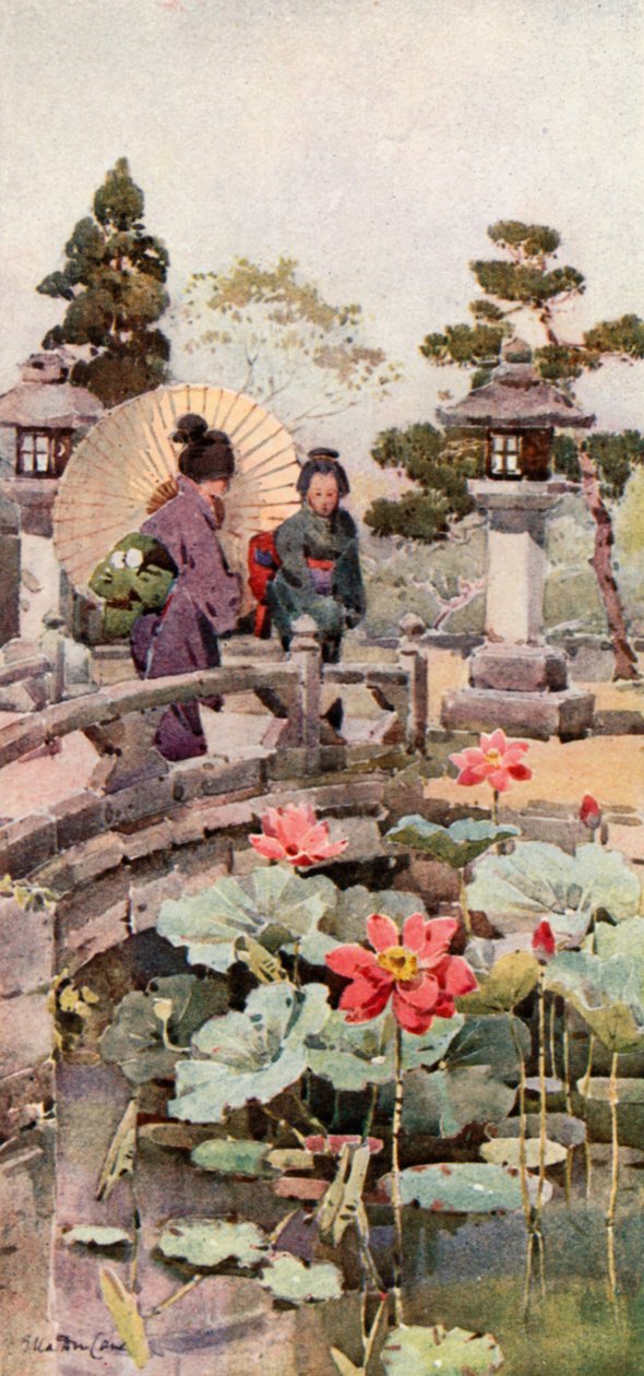 Lotusblumen (Farblithographie) von Ella Du Cane