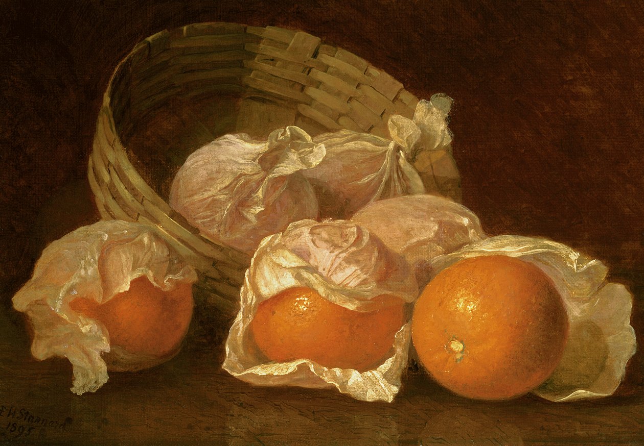 Ein Korb Orangen, 1895 von Eloise Harriet Stannard