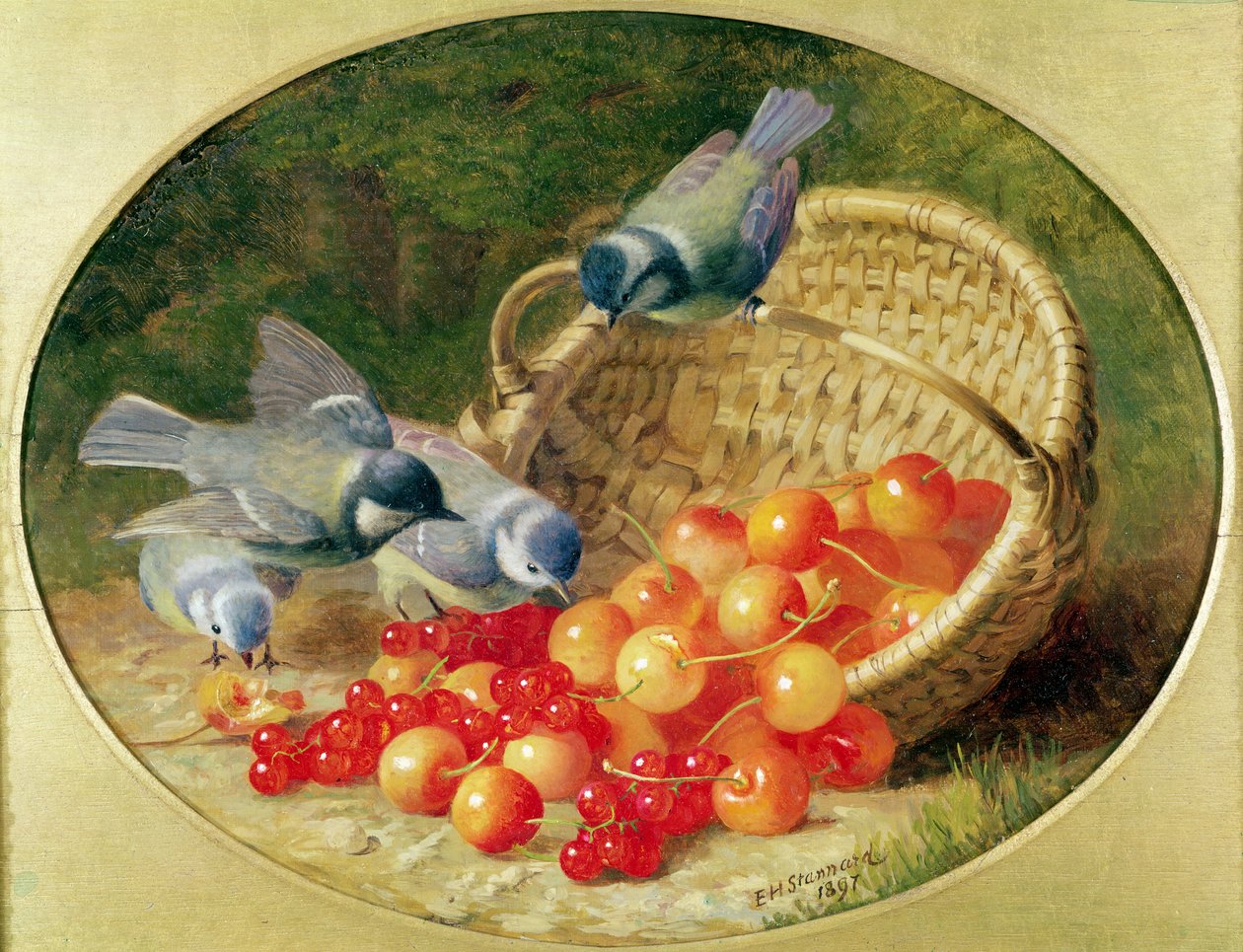 Blaumeisen picken an Kirschen, 1897 von Eloise Harriet Stannard