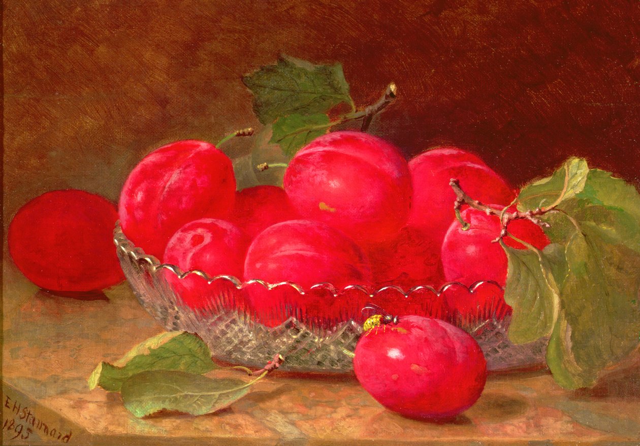 Stillleben, 1895 von Eloise Harriet Stannard