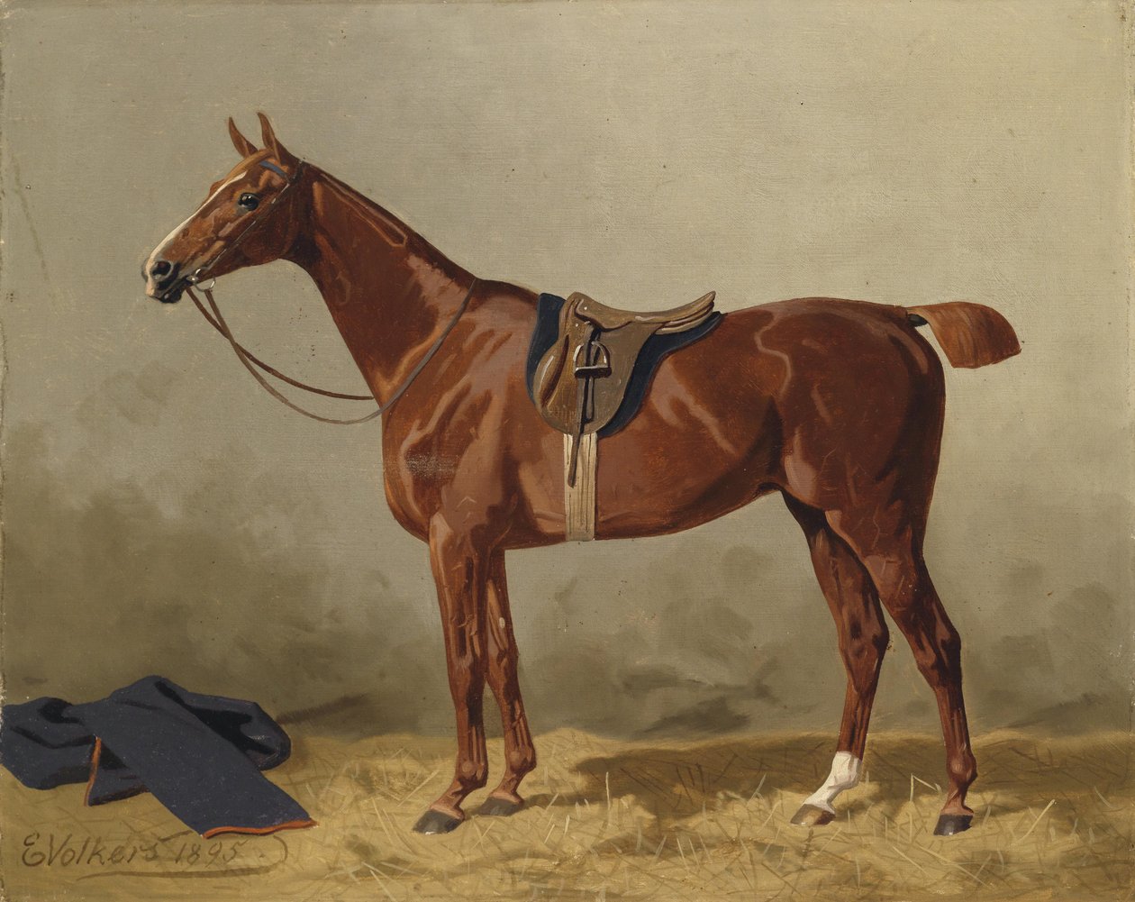 Gesatteltes Sportpferd von Emil Volkers