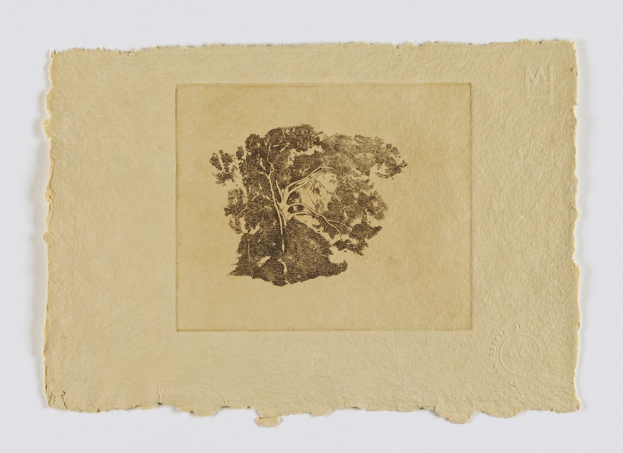 Baumstudie (aus Portfolio) von Emil Carlsen