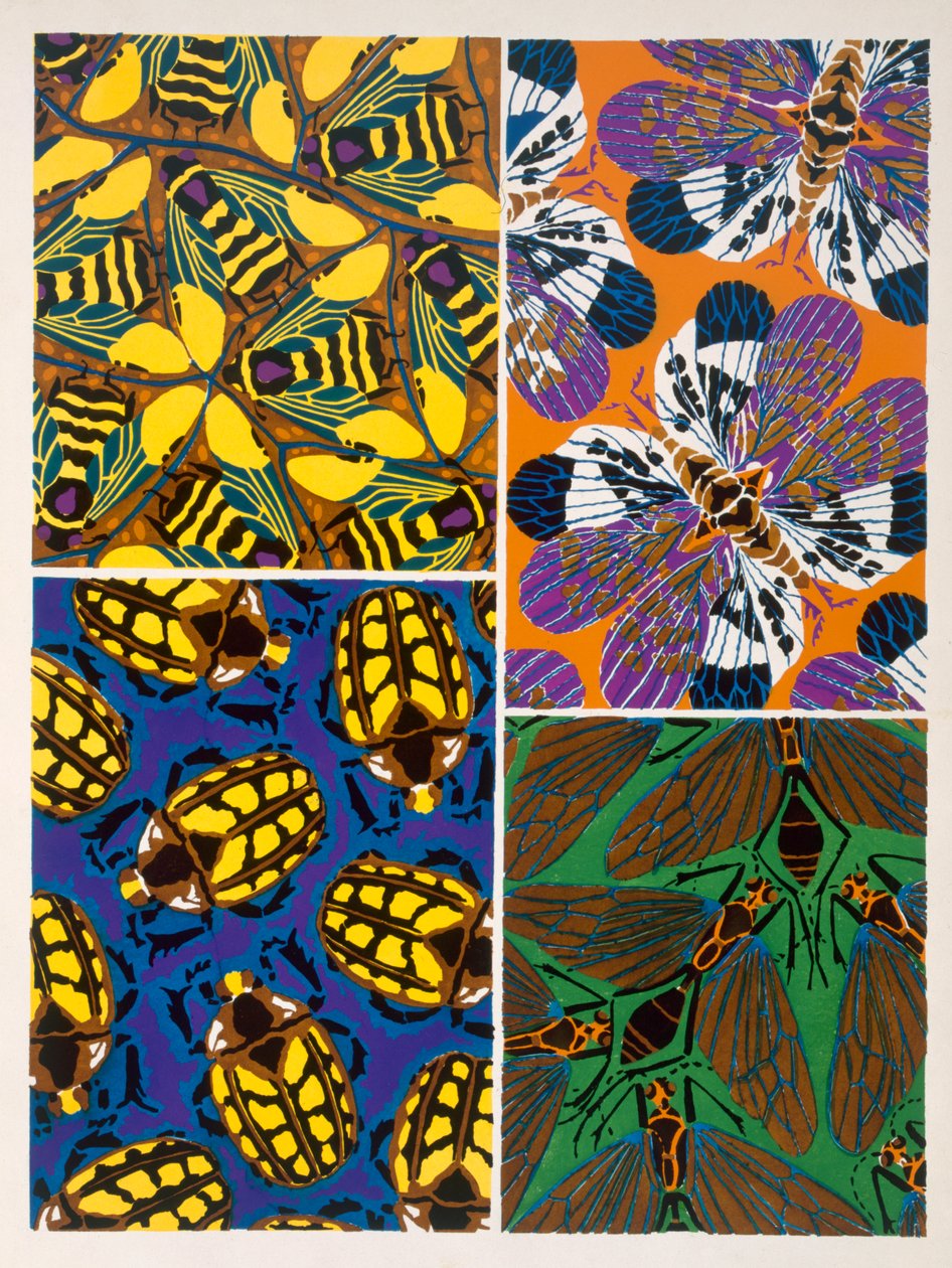 Design mit Insektenmotiv von Émile Allain Séguy
