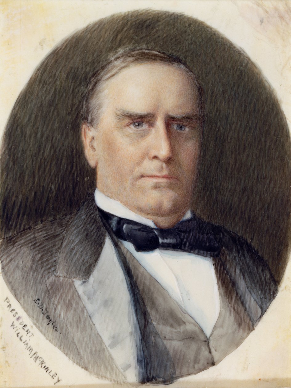 William McKinley von Emily Drayton Taylor