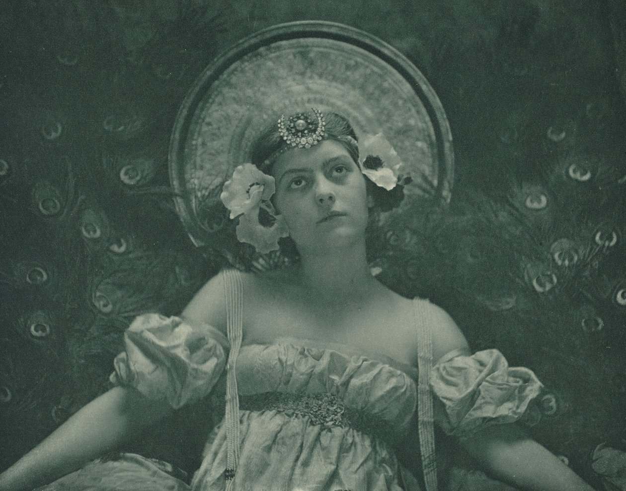 Die Zikade von Emma Justine Farnsworth