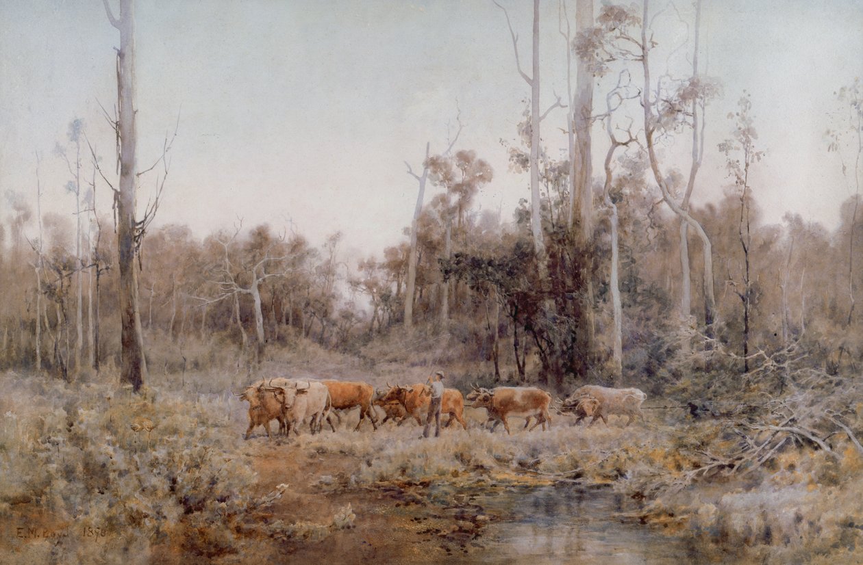 Das Ochsen-Team von Emma Minnie Boyd