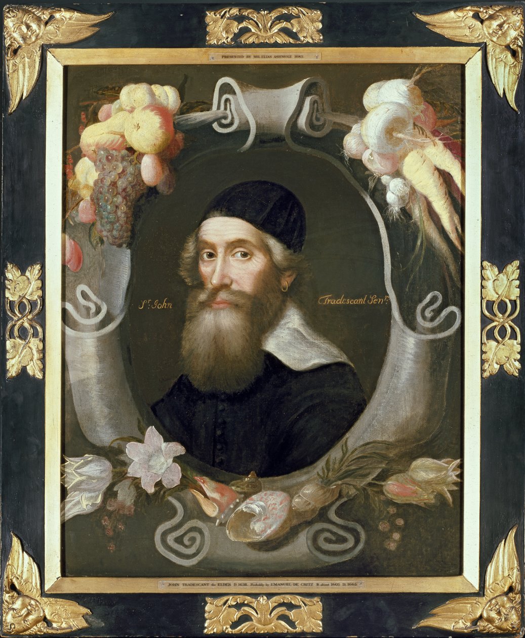 John Tradescant der Ältere, 17. Jahrhundert von Emmanuel de Critz