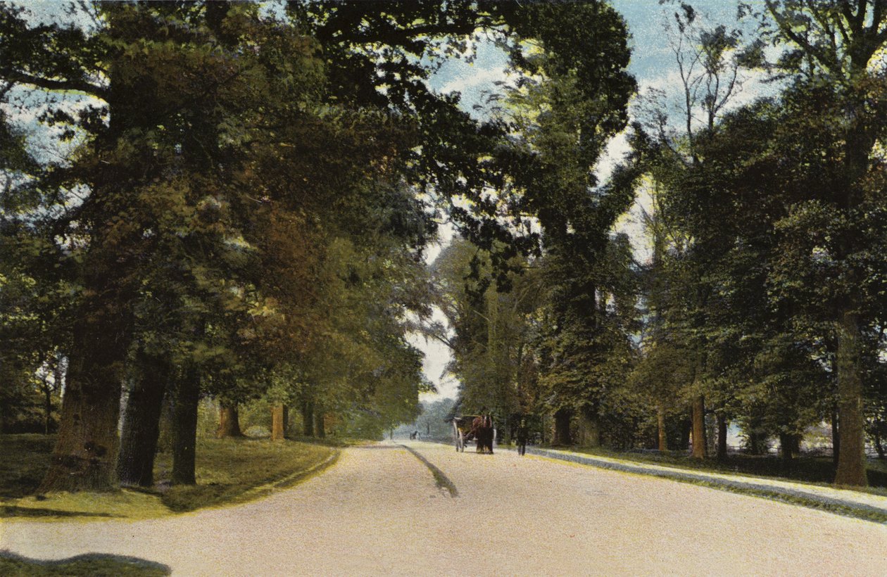 Die Lange Allee, Coventry von English Photographer