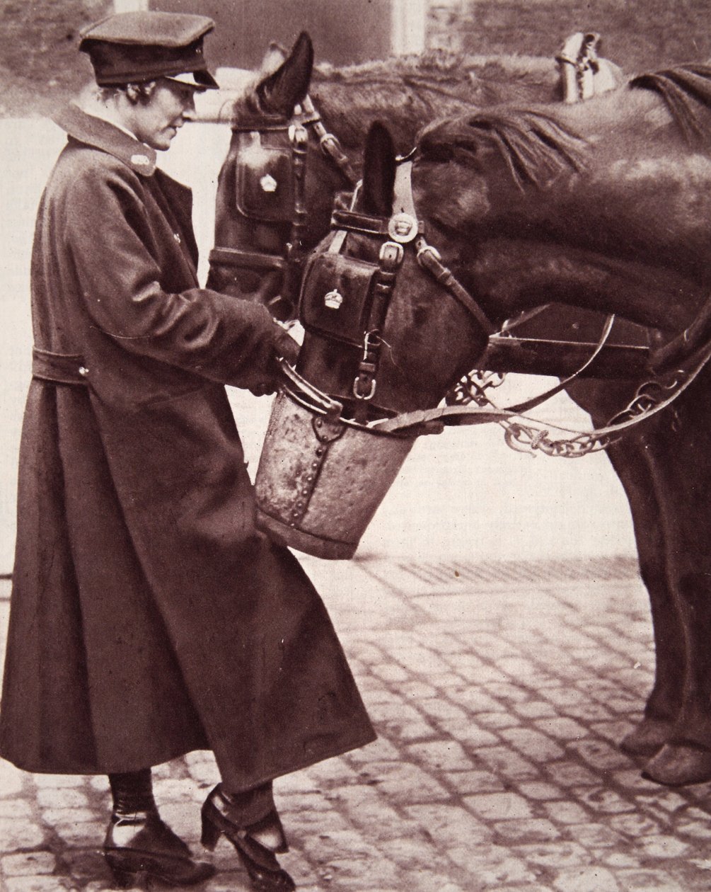 Arbeit für Frauen mit Pferdekenntnissen, Illustration aus The Illustrated War News, 7. März 1917 von English Photographer