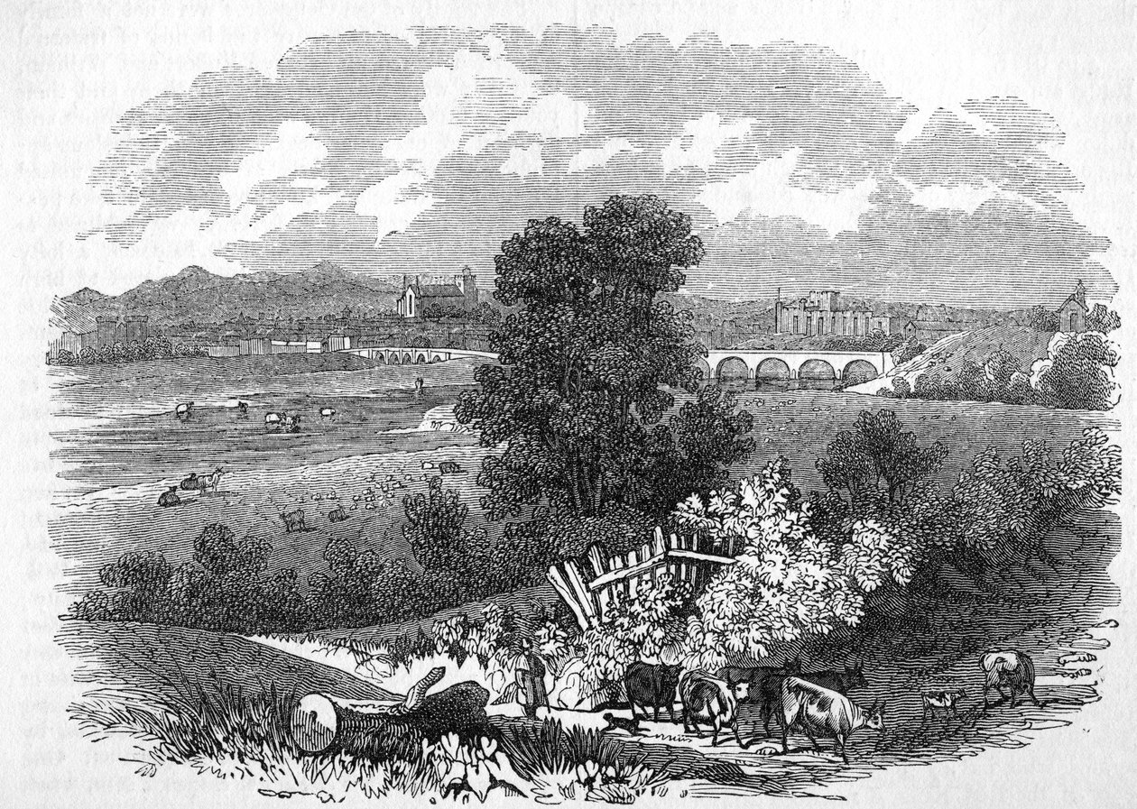 Carlisle von English School