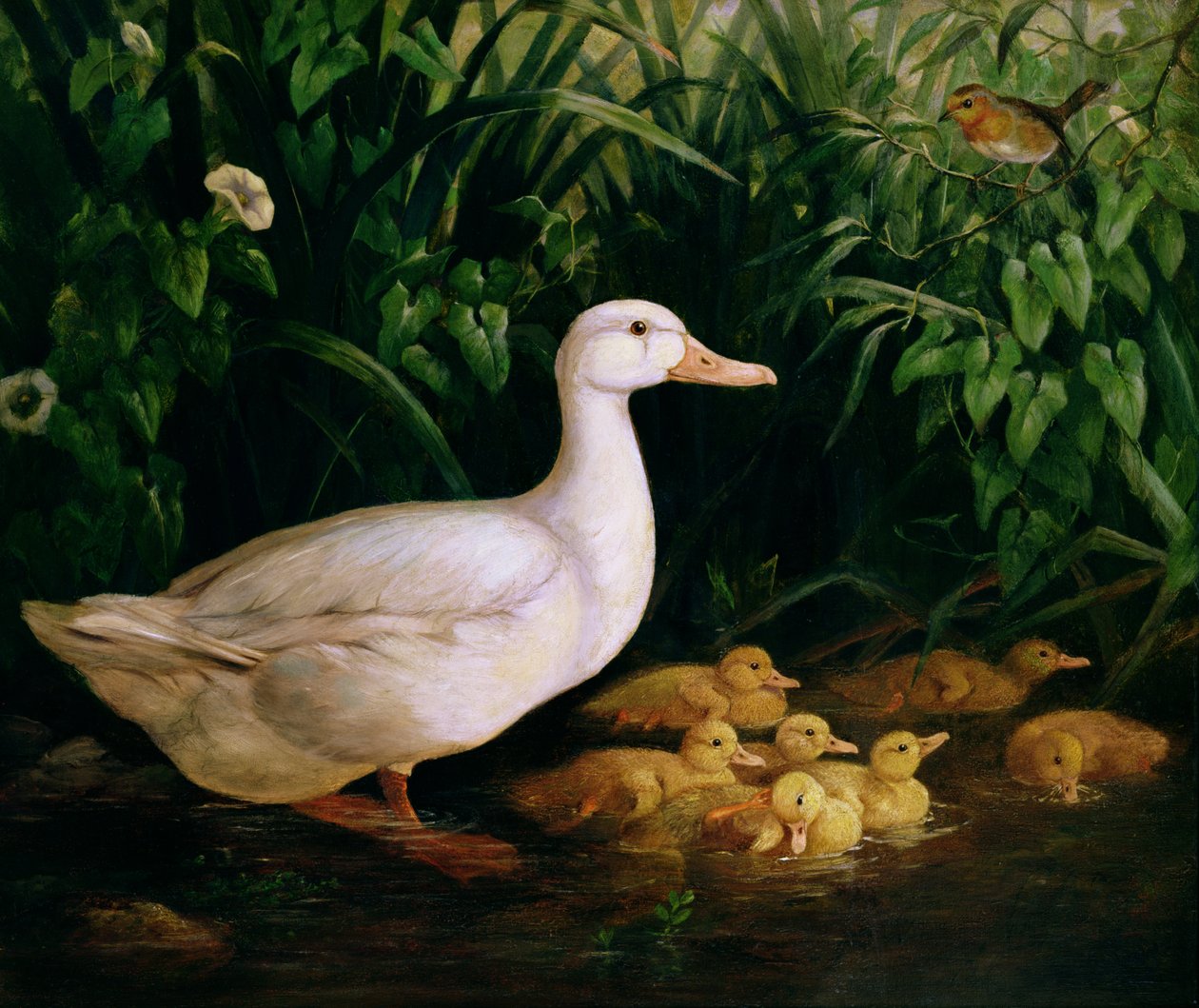 Ente und Entenküken, ca. 1890 von English School