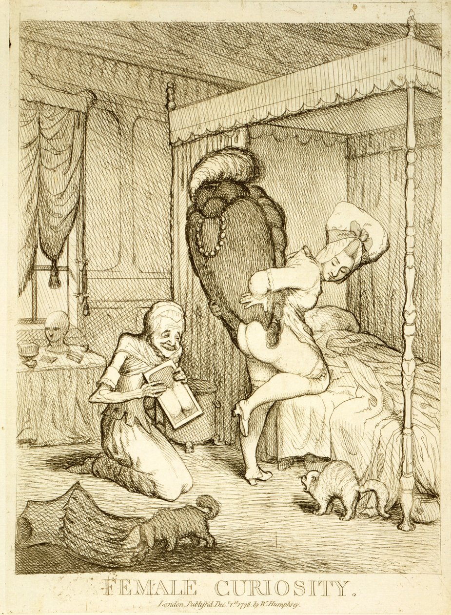 Weibliche Neugier, 1778 von English School