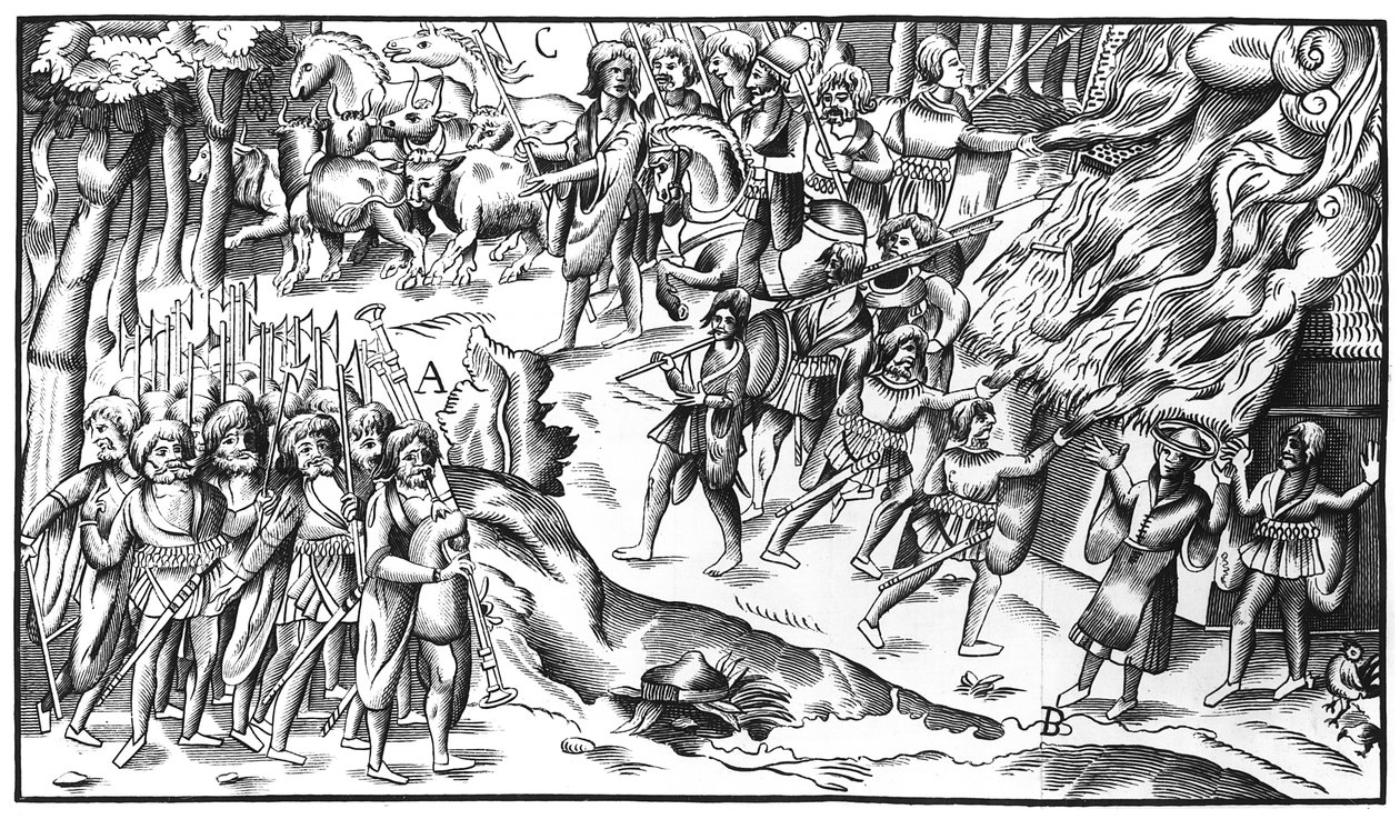 Irischer Viehraub auf einer englischen Plantage, 1581 von English School