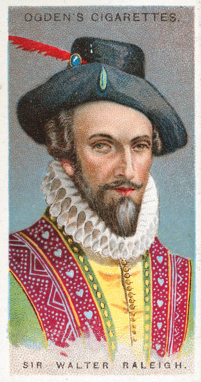 Sir Walter Raleigh von English School